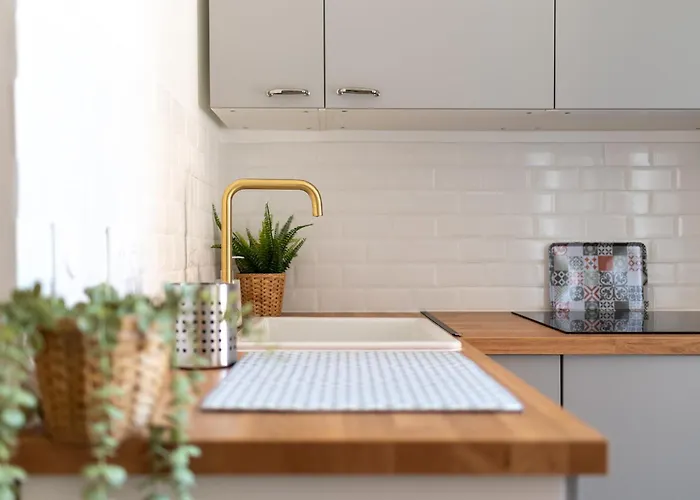 Le Mediterraneen Proximite Garonne Et Capitole