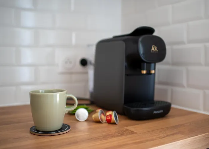 Le Mediterraneen Proximite Garonne Et Capitole * Toulouse